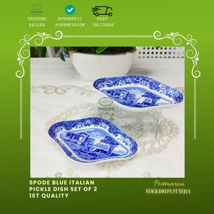 Spode blue italian pickle dish set of 2