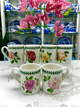 Botanic Roses Breakfast Mug 8oz